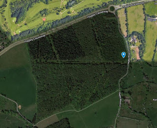 Approximate location of handbag discovery in Hagley Wood