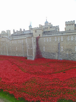 Eastern wall cascade of poppies (copyright G.K. Jakobs).