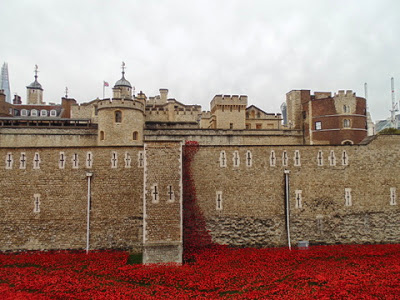 Eastern cascade of poppies - rounded Constable Tower (left) and Martin  Tower (right) (copyright G.K. Jakobs).
