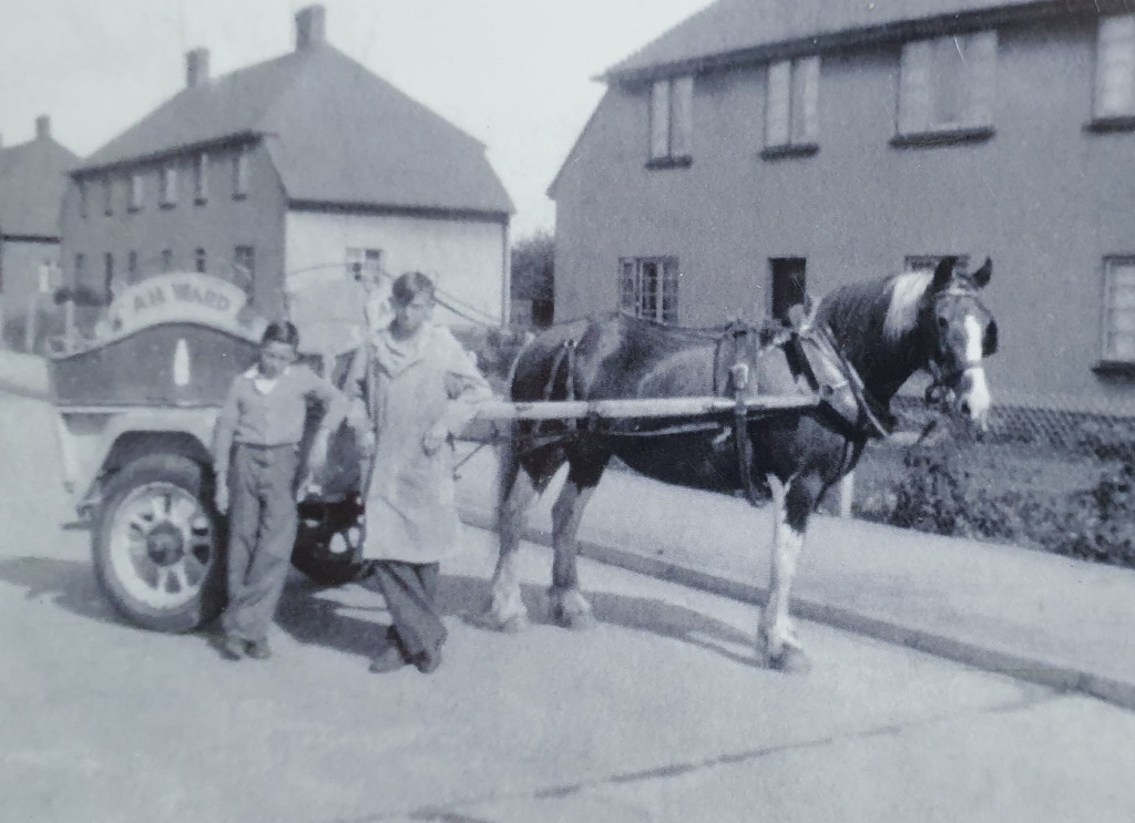 A.N. Ward milk float and horse, with two helpers.
(Photo courtesy of Richard S. Used with permission. All rights reserved)