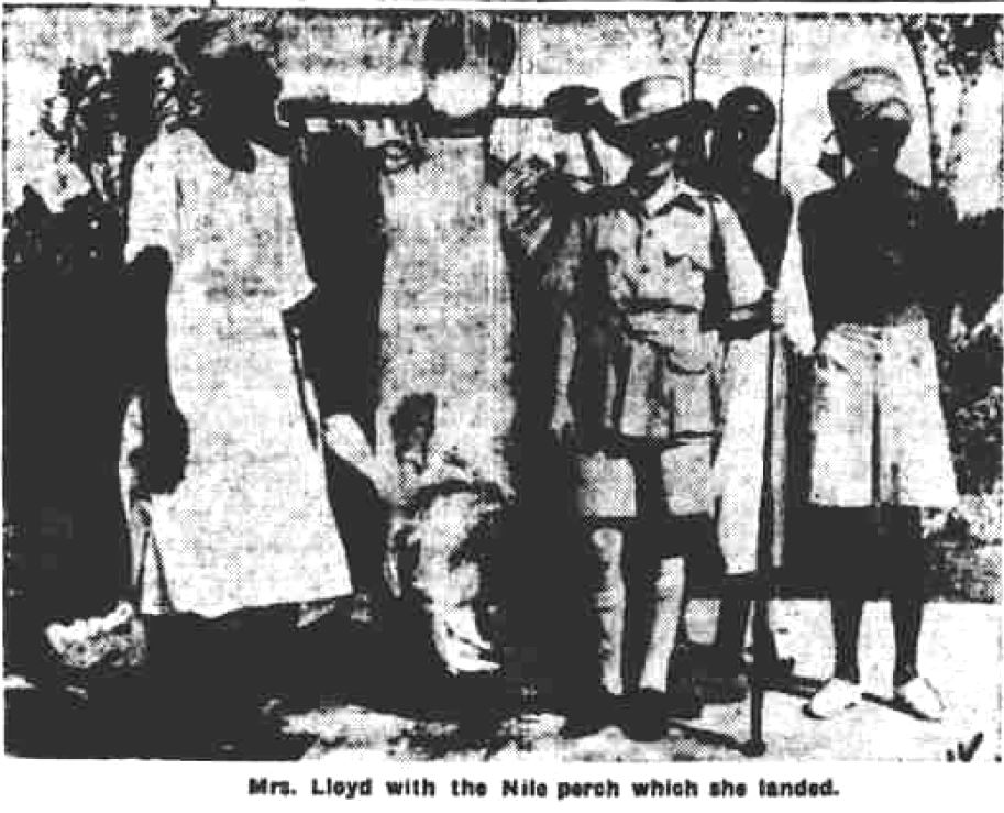 Ursula Eileen Lloyd with her 167.5 lb perch caught in the Nile after a "hectic struggle" of 37 minutes.
(Lancashire Daily Post, 30 December 1935 page 7) 