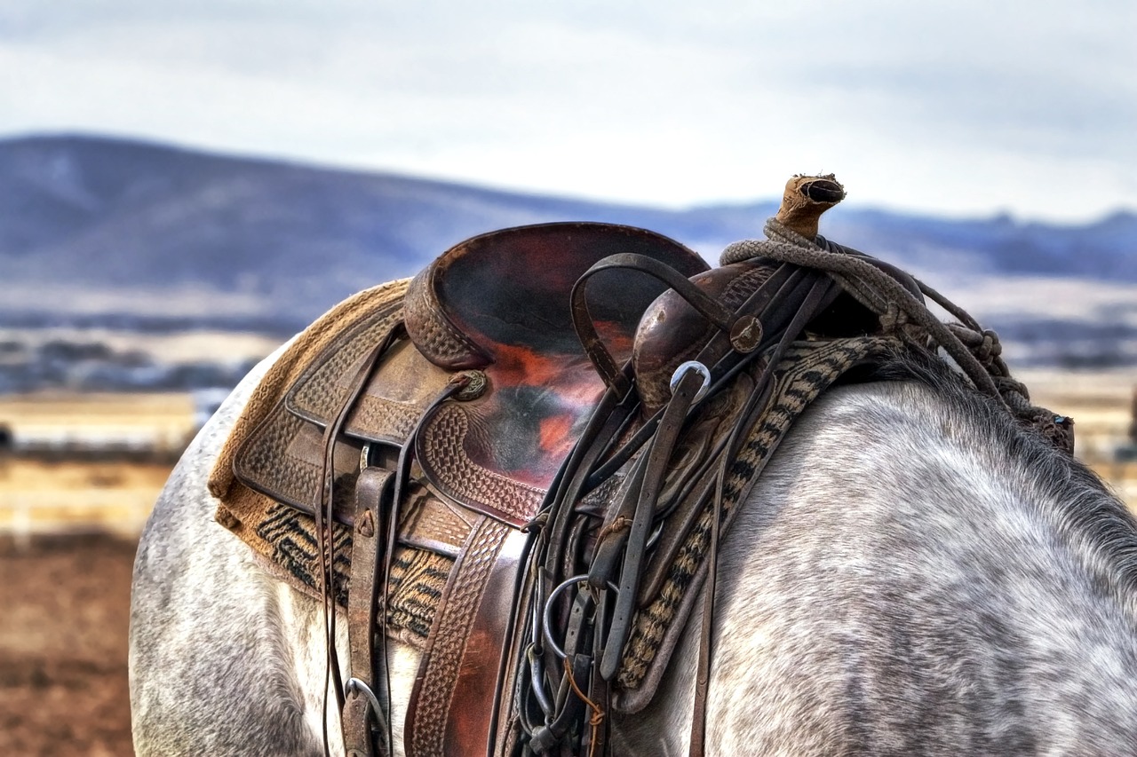 western saddle on a horse